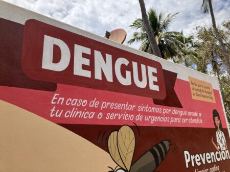 Dengue warning in Nayarit Mexico