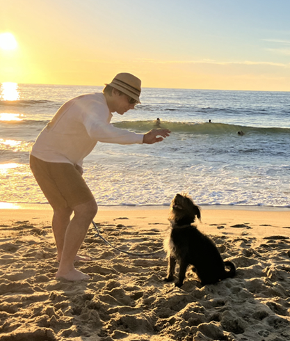 Pets at the beach in Mexico