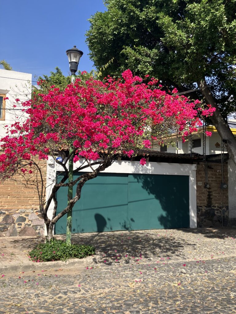 Home in Zapopan