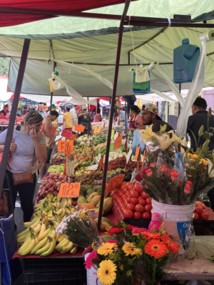 a tianguis in Guadalajara, Mexico