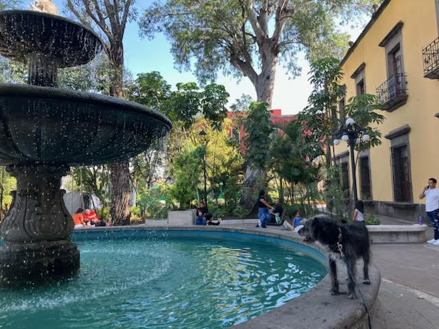 Fountain in Zapopan Centro