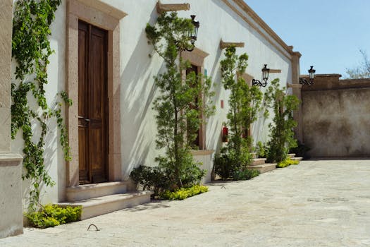 Rustic courtyard in Comonfort, Mexico with ivy and lush greenery creating a peaceful atmosphere.