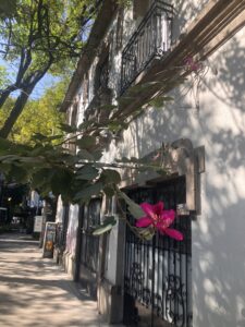 A shaded street in Mexico City.
