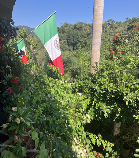 Avoid Dynamic Currency Conversion When Shopping in Mexico with a Foreign Credit Card 2