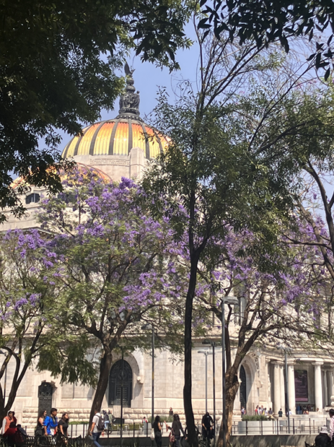 Palacio de Bellas Artes in Mexico City