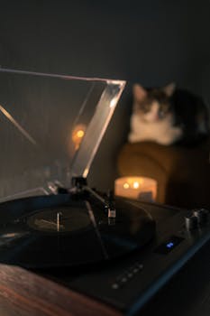 How Is Mexico's Economy Handling Trump 2.0 So Far? 4 A vintage turntable playing a vinyl record with a cat and warm lighting.