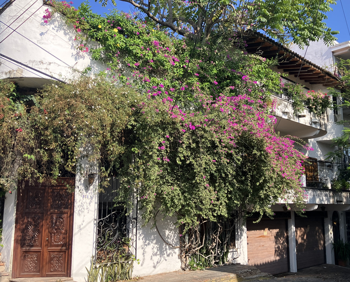 Would U.S. Expats Pay the Remittance Tax on Overseas Money Transfers? 1 Residential street in Puerto Vallarta Mexico